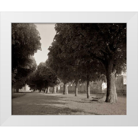 Banc de Jardin - 46 White Modern Wood Framed Art Print by Blaustein, Alan