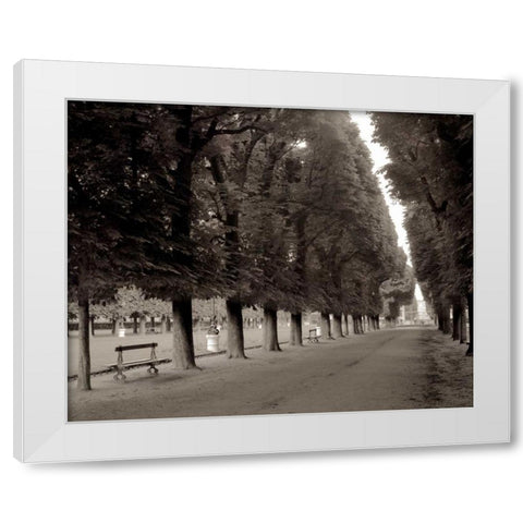 Banc de Jardin - 47 White Modern Wood Framed Art Print by Blaustein, Alan