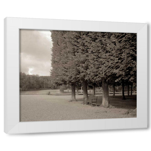 Banc de Jardin - 53 White Modern Wood Framed Art Print by Blaustein, Alan