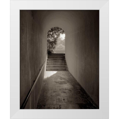 Banc de Jardin - 78 White Modern Wood Framed Art Print by Blaustein, Alan