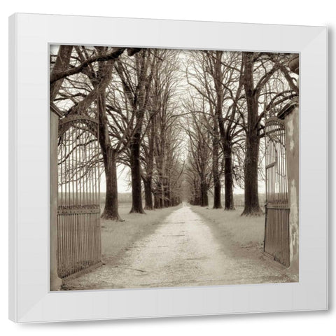 Veneto Giardini - 1 White Modern Wood Framed Art Print by Blaustein, Alan