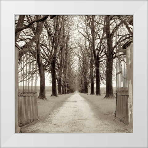 Veneto Giardini - 1 White Modern Wood Framed Art Print by Blaustein, Alan