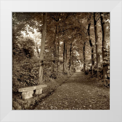 Fiesole Giardini - 2 White Modern Wood Framed Art Print by Blaustein, Alan