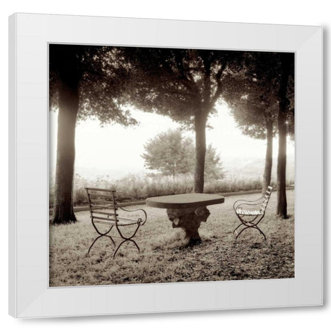 Fiesole Giardini - 1 White Modern Wood Framed Art Print by Blaustein, Alan
