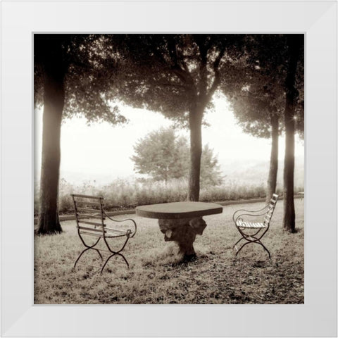 Fiesole Giardini - 1 White Modern Wood Framed Art Print by Blaustein, Alan