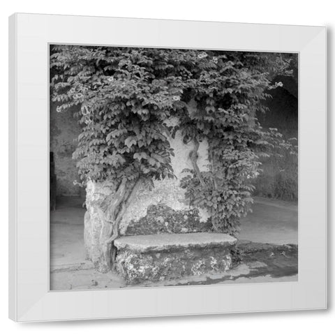 Campagnia - 2 White Modern Wood Framed Art Print by Blaustein, Alan