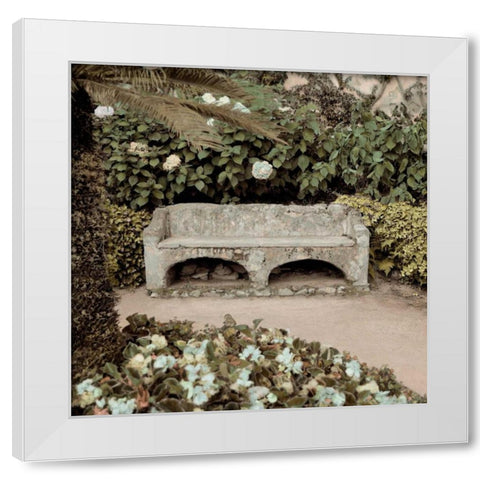 Campagna - 1 color White Modern Wood Framed Art Print by Blaustein, Alan