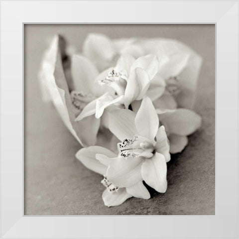 Florison - 27 White Modern Wood Framed Art Print by Blaustein, Alan