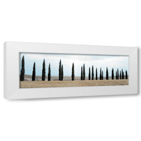 Val dÃ¢â‚¬â„¢Orcia Pano - 5 White Modern Wood Framed Art Print by Blaustein, Alan