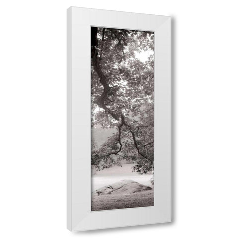 Hampton Field Tree - 1 White Modern Wood Framed Art Print by Blaustein, Alan