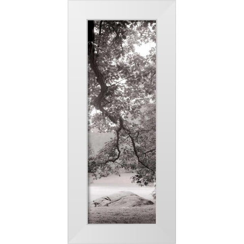 Hampton Field Tree - 1 White Modern Wood Framed Art Print by Blaustein, Alan