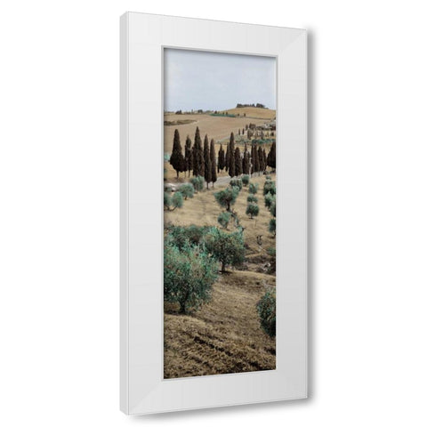 Tuscany - 13 White Modern Wood Framed Art Print by Blaustein, Alan
