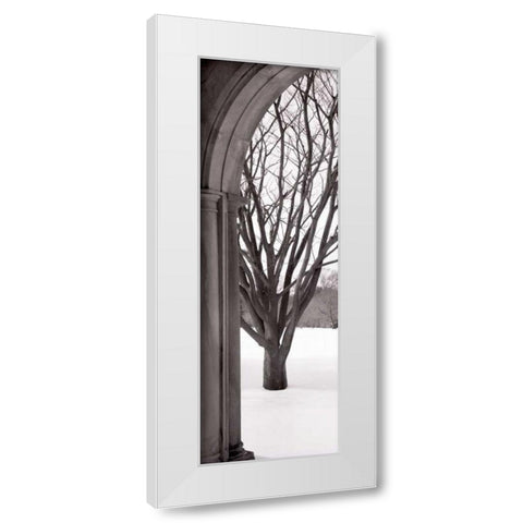 Hampton Winter Arch White Modern Wood Framed Art Print by Blaustein, Alan