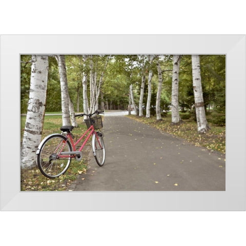 Japan Bicycle - 18 White Modern Wood Framed Art Print by Blaustein, Alan