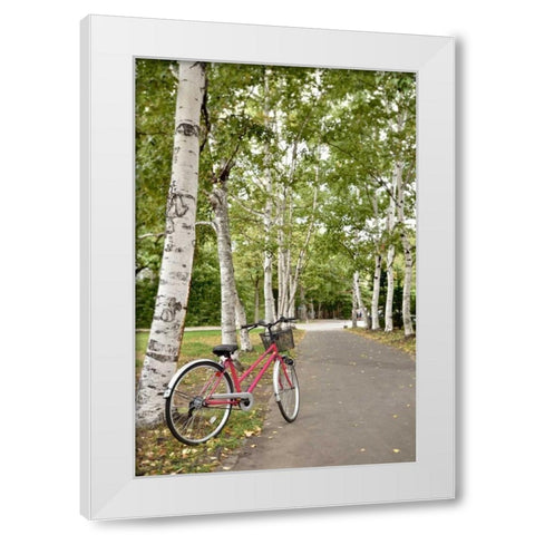 Japan Bicycle - 20 White Modern Wood Framed Art Print by Blaustein, Alan