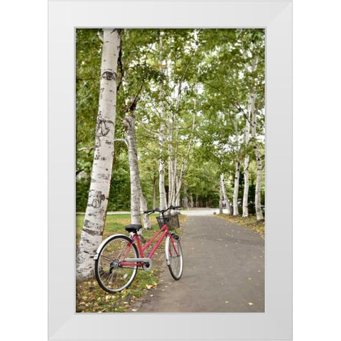 Japan Bicycle - 20 White Modern Wood Framed Art Print by Blaustein, Alan