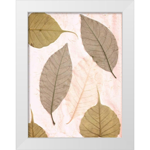 Floral - 23 White Modern Wood Framed Art Print by Blaustein, Alan