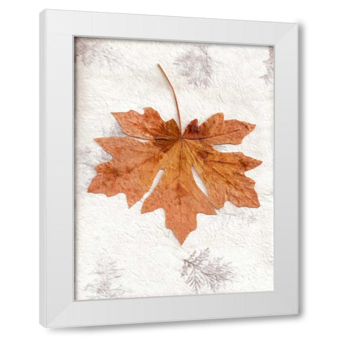 LF - 25 White Modern Wood Framed Art Print by Blaustein, Alan