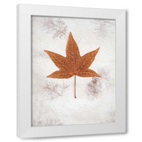 Floral - 26 White Modern Wood Framed Art Print by Blaustein, Alan