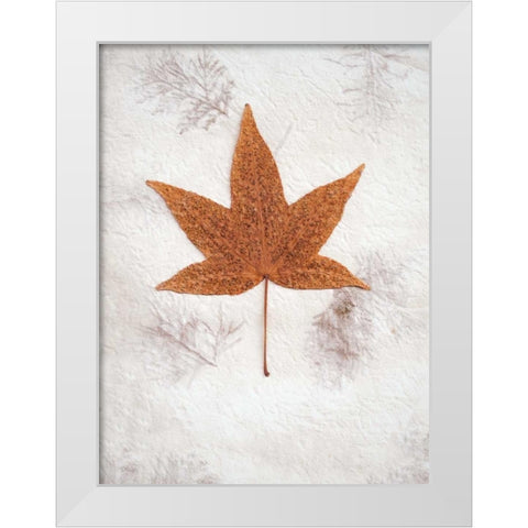 Floral - 26 White Modern Wood Framed Art Print by Blaustein, Alan