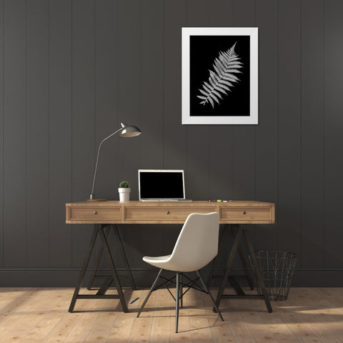 Floral B-W - 18 White Modern Wood Framed Art Print by Blaustein, Alan