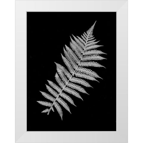 Floral B-W - 18 White Modern Wood Framed Art Print by Blaustein, Alan