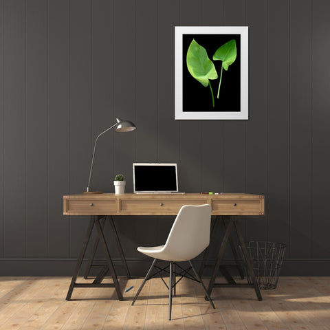 Floral Color - 24 White Modern Wood Framed Art Print by Blaustein, Alan