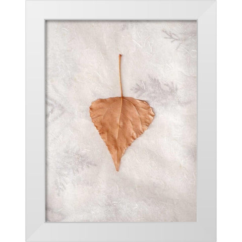 Floral - 29 White Modern Wood Framed Art Print by Blaustein, Alan