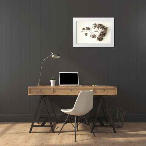 Garden Bloom - 21 White Modern Wood Framed Art Print by Blaustein, Alan