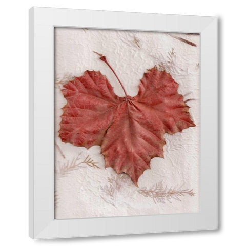 Floral - 31 White Modern Wood Framed Art Print by Blaustein, Alan