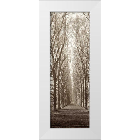 Hampton Gates Promenade White Modern Wood Framed Art Print by Blaustein, Alan