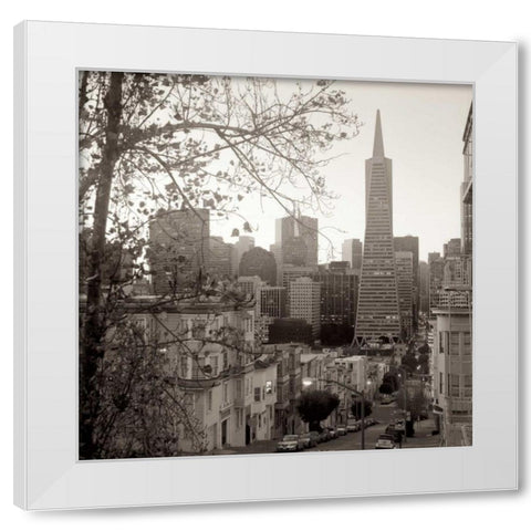 SF Skyline - 3 White Modern Wood Framed Art Print by Blaustein, Alan