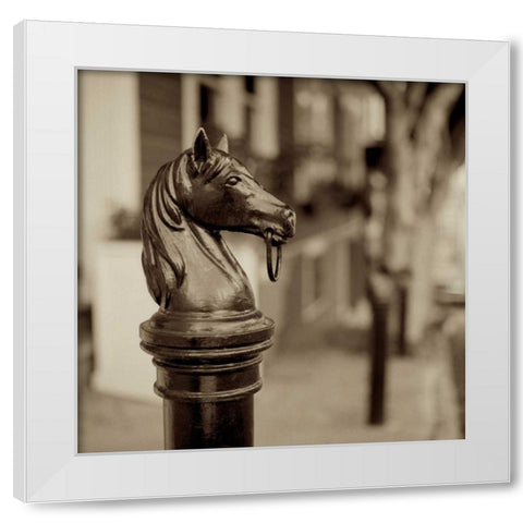 Hitching Post - 6 White Modern Wood Framed Art Print by Blaustein, Alan