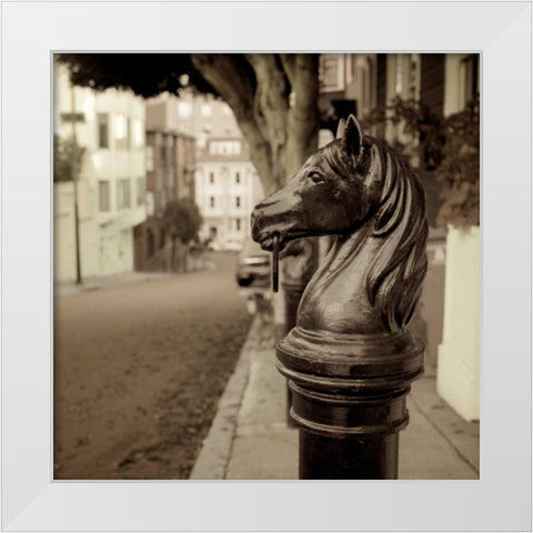 Hitching Post - 7 White Modern Wood Framed Art Print by Blaustein, Alan