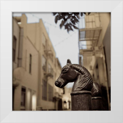Hitching Post - 3 White Modern Wood Framed Art Print by Blaustein, Alan