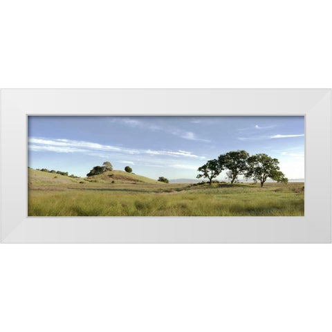 Oak Tree - 82 White Modern Wood Framed Art Print by Blaustein, Alan