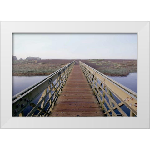 Lagoon Bridge - 1 White Modern Wood Framed Art Print by Blaustein, Alan