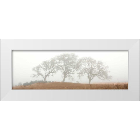 Oak Tree - 15 White Modern Wood Framed Art Print by Blaustein, Alan