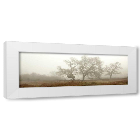 Oak Tree - 59 White Modern Wood Framed Art Print by Blaustein, Alan