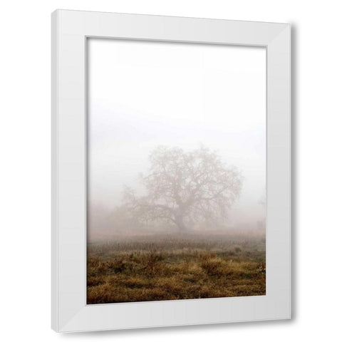 Oak Tree - 29 White Modern Wood Framed Art Print by Blaustein, Alan