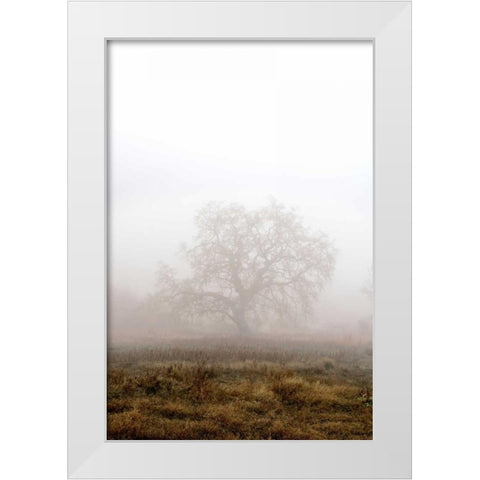 Oak Tree - 29 White Modern Wood Framed Art Print by Blaustein, Alan