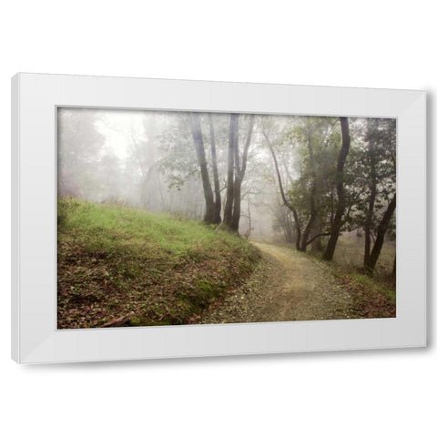 Oak Tree - 18 White Modern Wood Framed Art Print by Blaustein, Alan