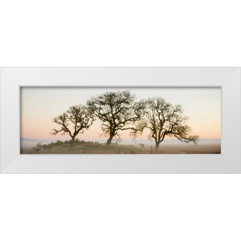 Oak Tree - 30 White Modern Wood Framed Art Print by Blaustein, Alan
