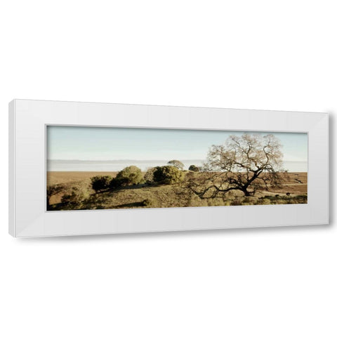 Oak Tree - 37 White Modern Wood Framed Art Print by Blaustein, Alan