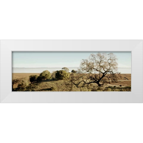 Oak Tree - 37 White Modern Wood Framed Art Print by Blaustein, Alan