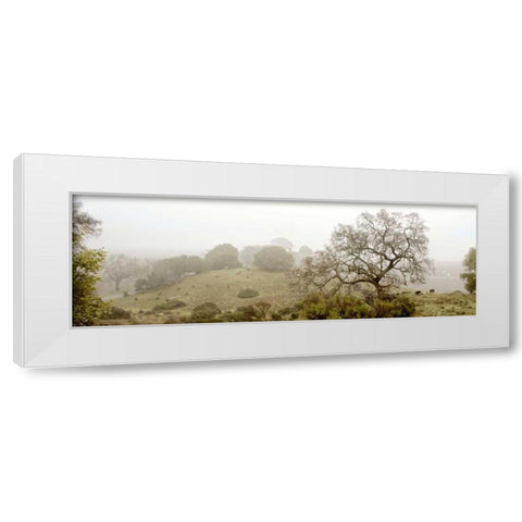 Oak Tree - 41 White Modern Wood Framed Art Print by Blaustein, Alan