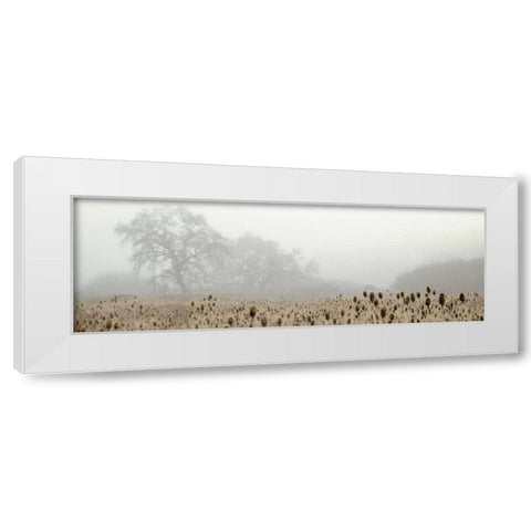 Oak Tree - 60 White Modern Wood Framed Art Print by Blaustein, Alan