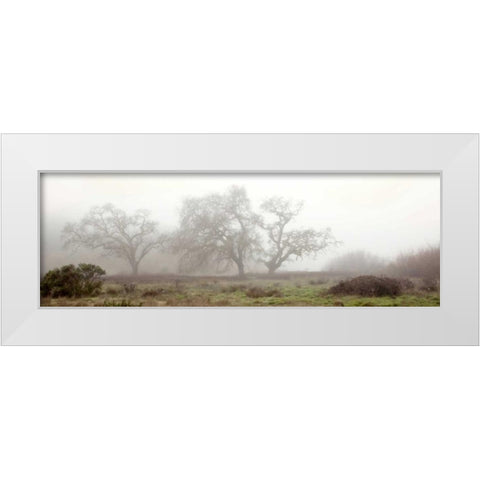 Oak Tree - 58 White Modern Wood Framed Art Print by Blaustein, Alan