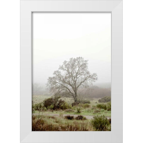 Oak Tree - 56 White Modern Wood Framed Art Print by Blaustein, Alan