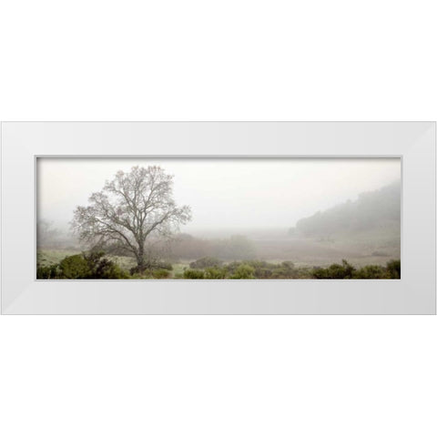 Oak Tree - 55 White Modern Wood Framed Art Print by Blaustein, Alan